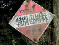 �͘F���ƉΔ��̓���E����R�S