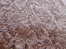 �Δ��E�͘F���p�D�R�Q���b�g��