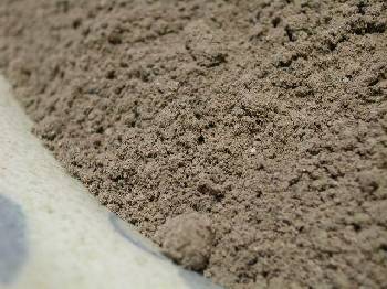 �Δ��E�͘F���p�n�ڊ~�̊D�Q�S���b�g��